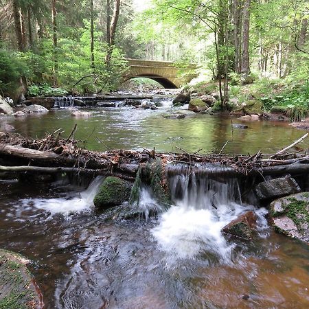 Fewo Kruse Am Wurmberg Braunlage Eksteriør billede